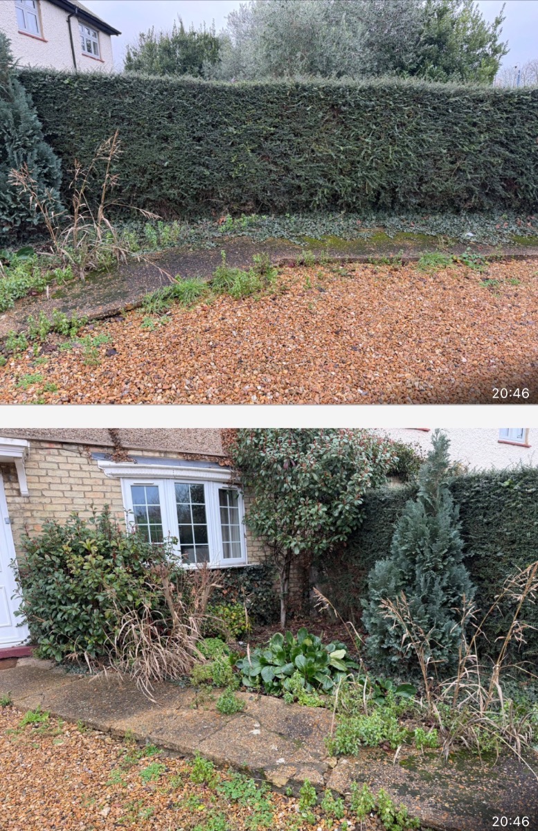 Gardener: Image 10